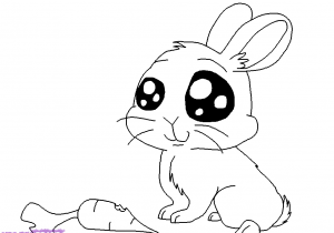 300x210 Cartoon Rabbit Sketch Pic Bunny Cartoon Drawing How To Draw A Cute - Cute Bunny Sketch