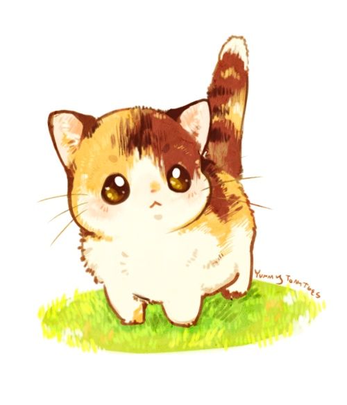 500x584 Cute Cat Drawings Tumblr Cats And Kittens - Cute Cat Sketch