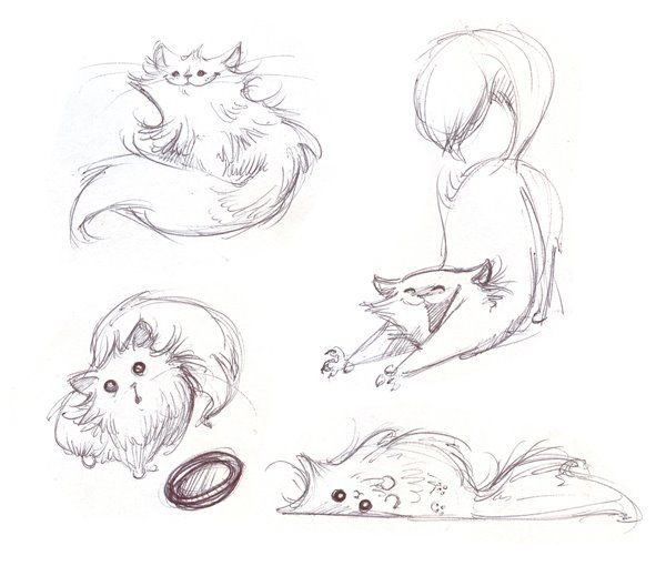600x510 Drawn Cat Silly Cat - Cute Cat Sketch