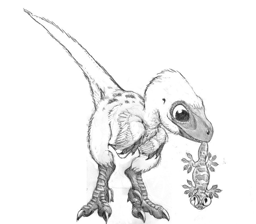 900x788 Oh My God That Is Too Cute!! Sketch For Baby Velociraptor By - Cute Dinosaur Sketch