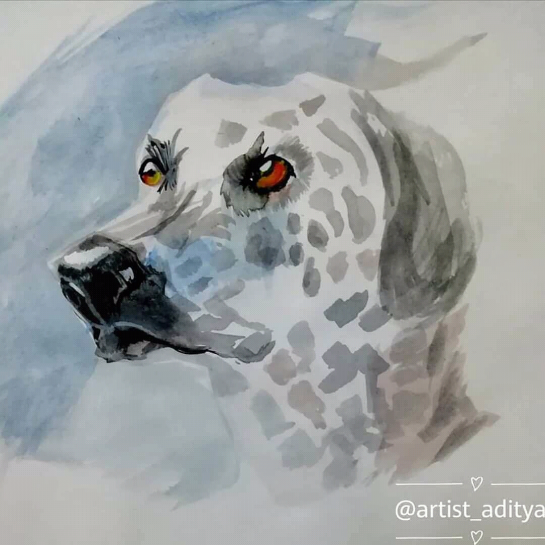 1080x1080 Cute Dog Sketch Made By My Friend. Aww - Cute Dog Sketch