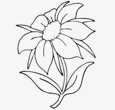 230x219 Flower Drawing Cute Easy Picturesque Sketches - Cute Flower Sketches