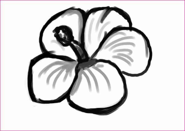 642x455 Pictures Of Cute Flowers To Draw - Cute Flower Sketches