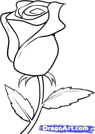 400x561 Step By Step How To Draw A Flower Rose Flower Drawing Step Step - Cute Flower Sketches