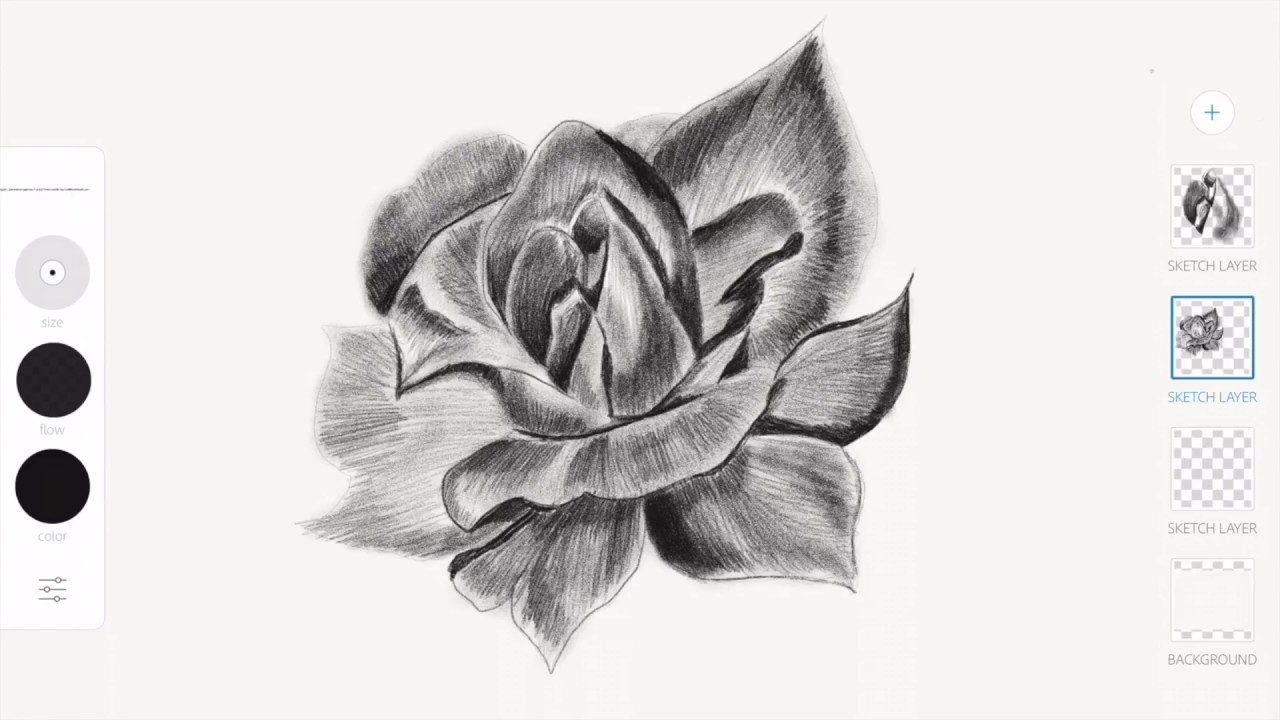 1280x720 The Best Drawing Of A Flower On The Ipad Pro, Pencil Sketching - Cute Flower Sketches