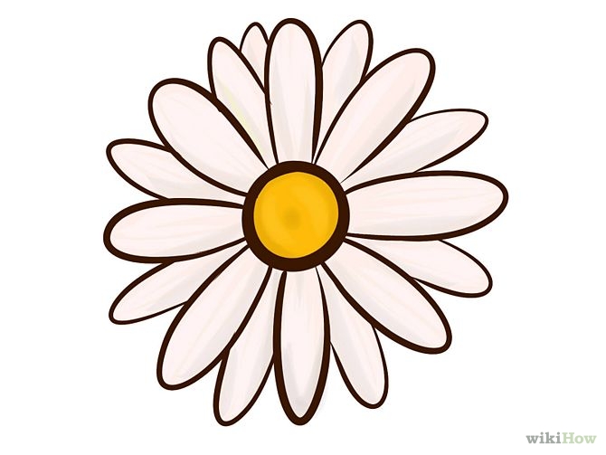 670x503 Cute Easy Drawing Flowers - Cute Flower Sketches
