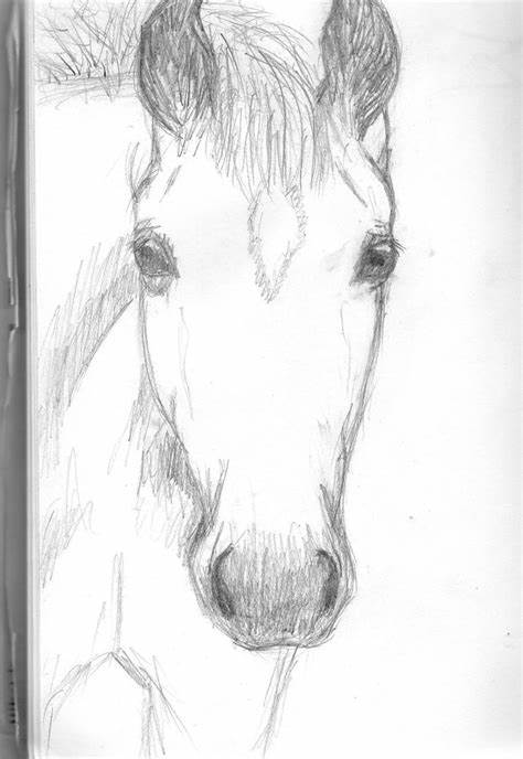 474x688 Cute Horse Drawing. Cute Horse 2 By Etsmil On Hasshe - Cute Horse Sketch