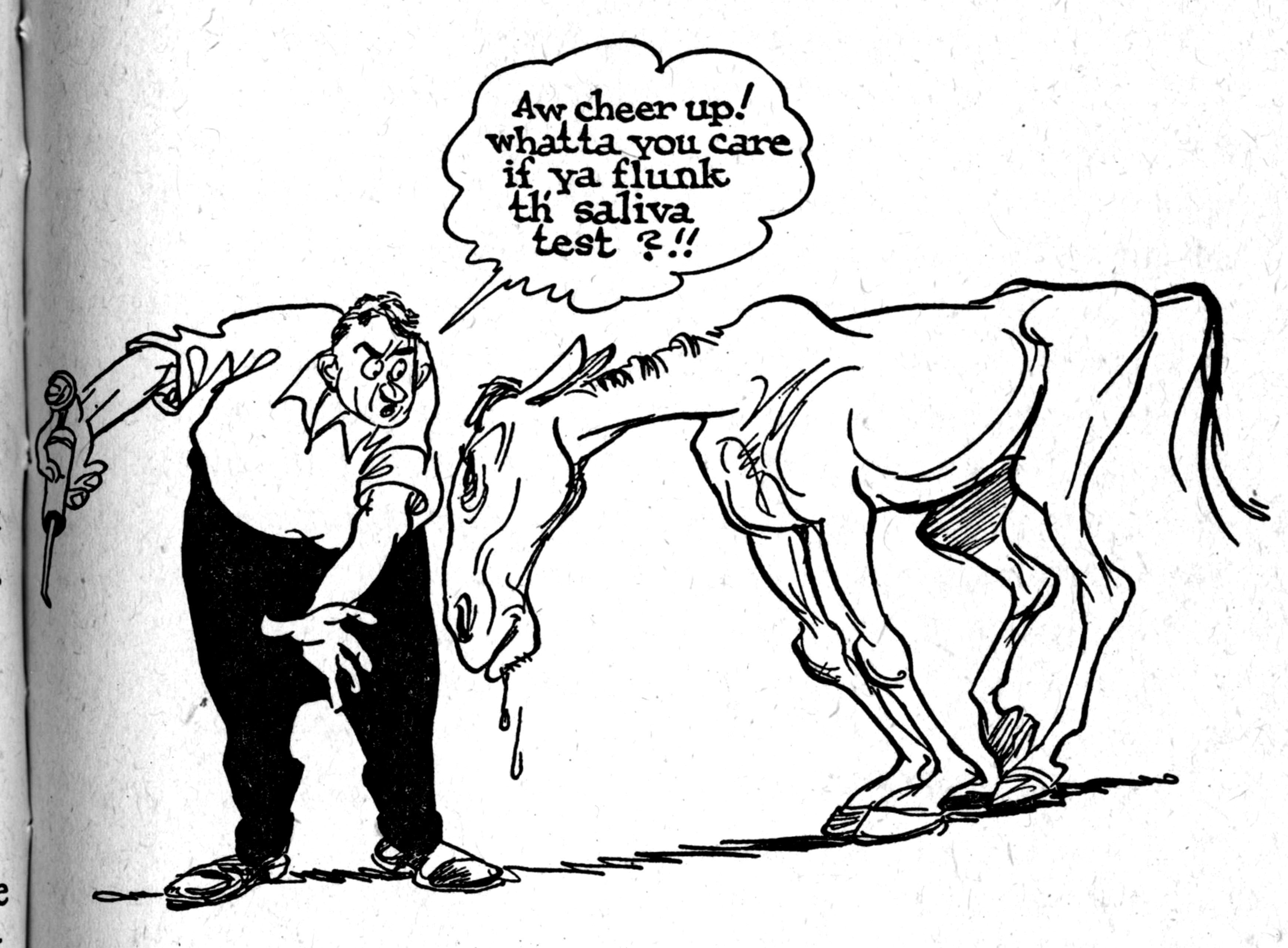 3482x2564 Cute Horse Drawings Cute Horse Drawing - Cute Horse Sketch