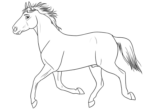 650x472 Horse Template - Cute Horse Sketch