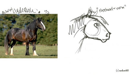 450x256 Need More Help Drawing The Perfect Horse The Equinest - Cute Horse Sketch