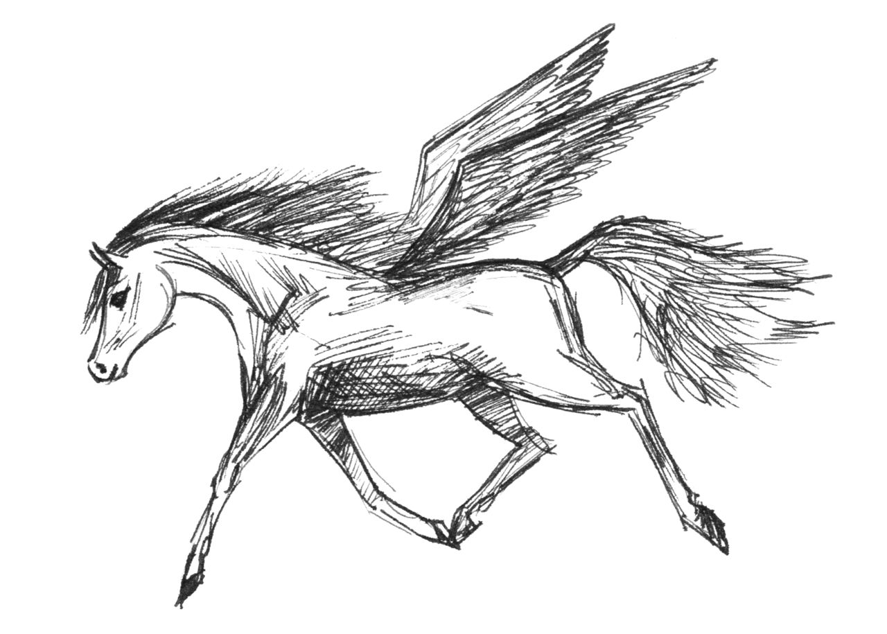 1280x915 Horse Art The Amalgamation - Cute Horse Sketch