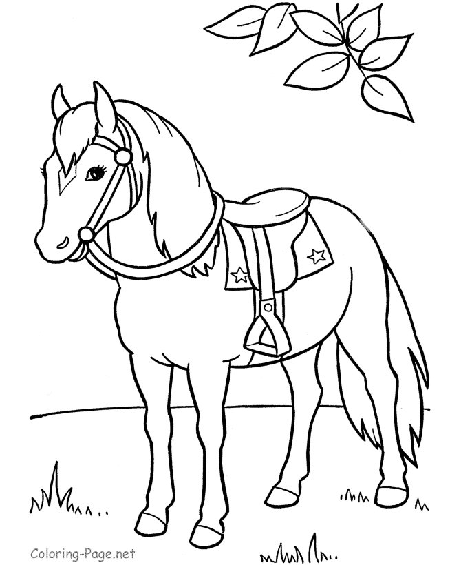 670x820 Baby Horse Coloring Pages - Cute Horse Sketch