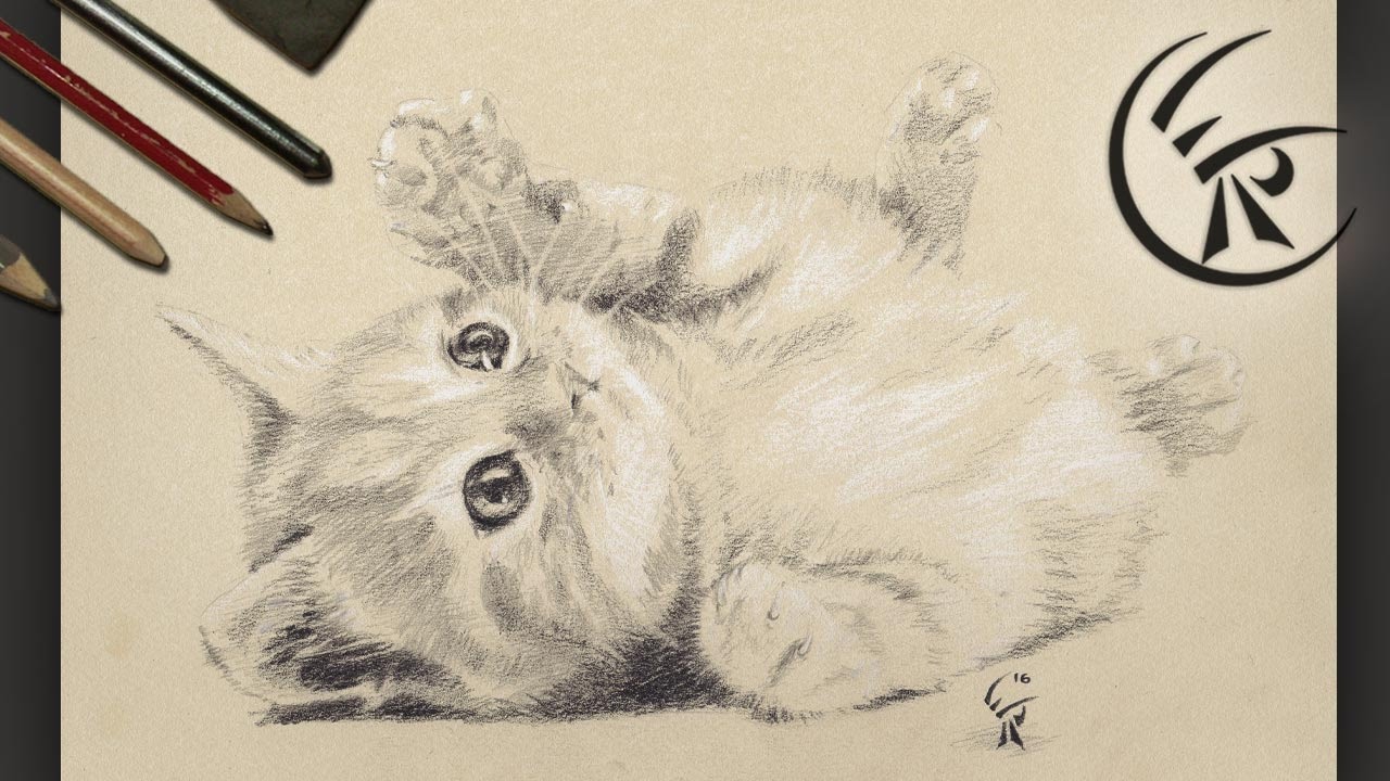 1280x720 Drawing Cute Kitten Timelapse - Cute Kitten Sketch