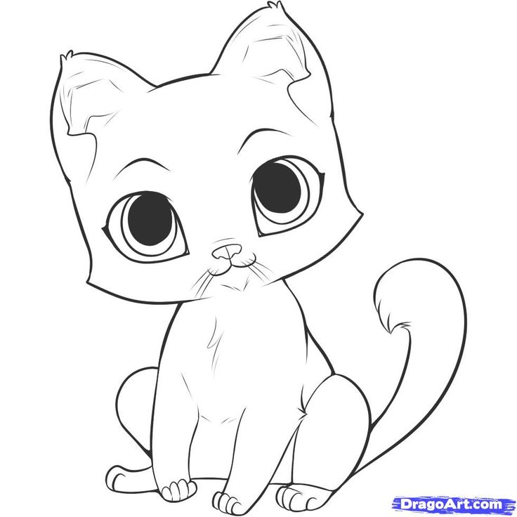 736x736 Kittens Clipart Easy Cute Borders, Vectors, Animated, Black And - Cute Kitten Sketch