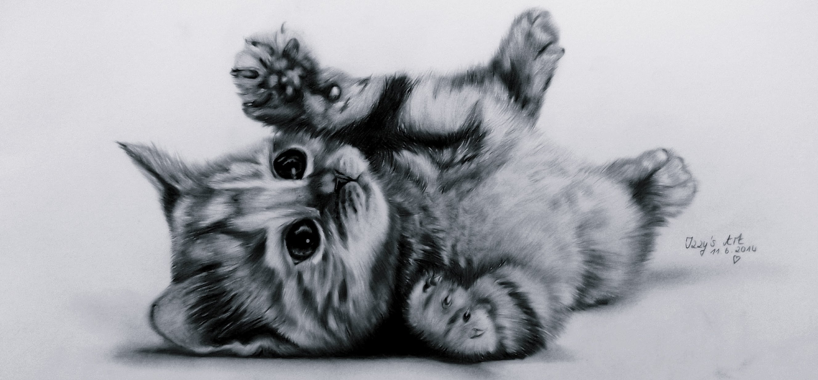 Cute Kitten Sketch at PaintingValley.com | Explore collection of Cute ...