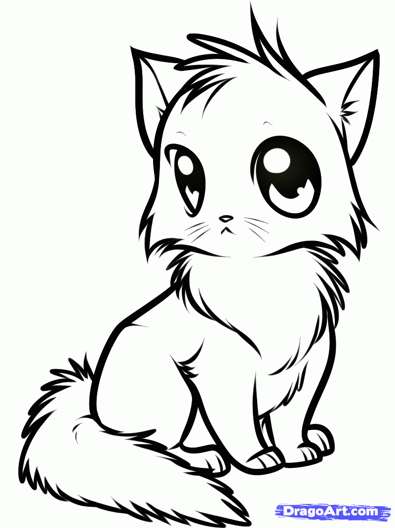 800x1070 Draw A Cute Anime Cat, Step By Step, Drawing Sheets, Added By Dawn - Cute Kitty Sketch