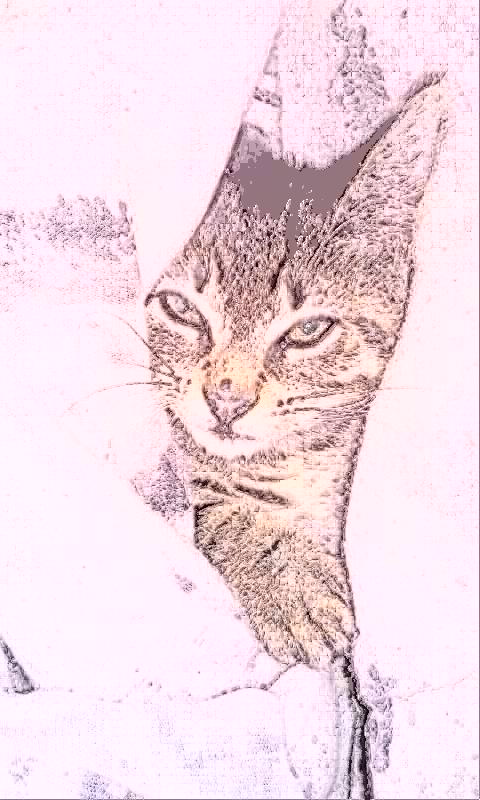 480x800 Cute Kitty Sketch By Veralee1314 - Cute Kitty Sketch