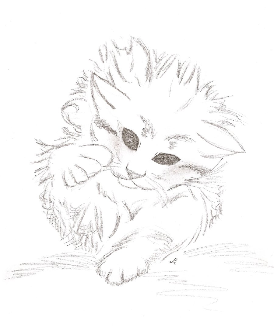 900x1076 Cute Kitty - Cute Kitty Sketch