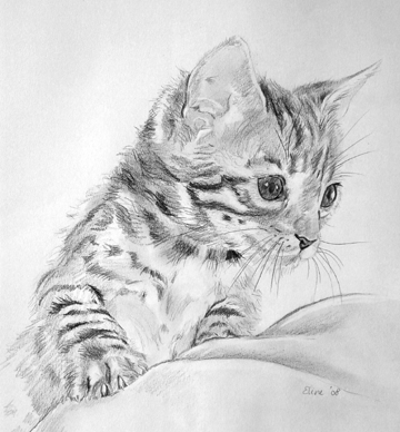 360x388 Cute Kitty By Smiles12345 - Cute Kitty Sketch