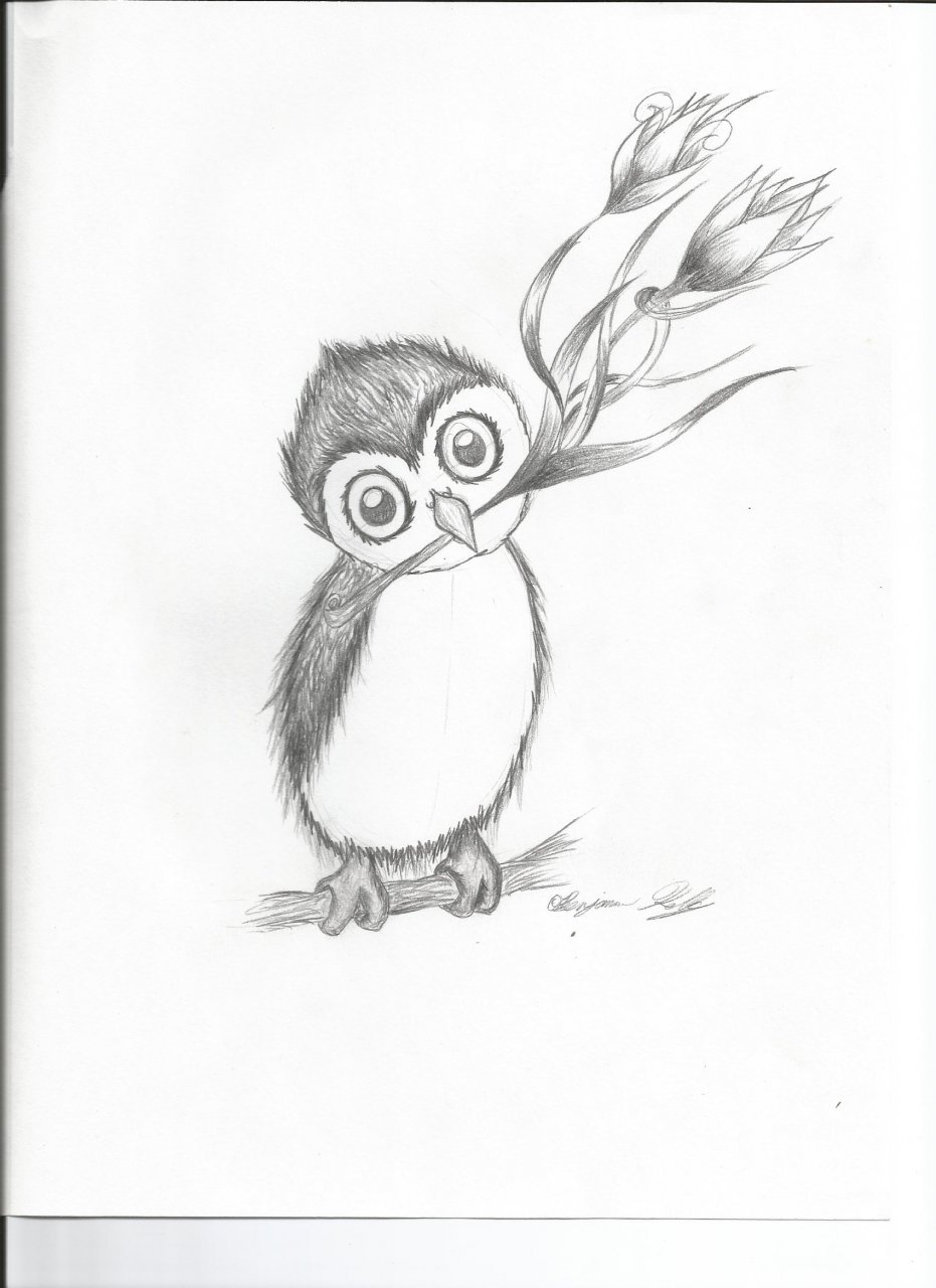 931x1280 Cute Owl With A Flower By Sir.sketch - Cute Owl Sketch