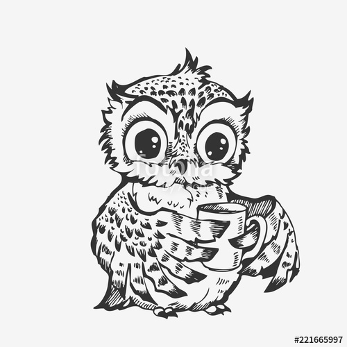 500x500 Cute Owl Cartoon Character Line Sketch Stock Image And Royalty - Cute Owl Sketch