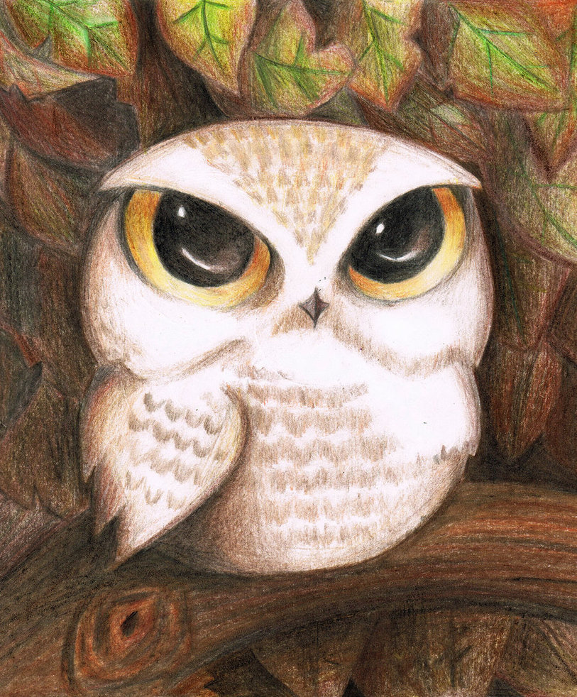 813x982 Cute Owl By Lovelylittlesunshine - Cute Owl Sketch
