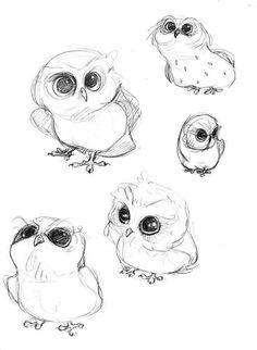 236x322 Cute Owl Drawings Black And White - Cute Owl Sketch