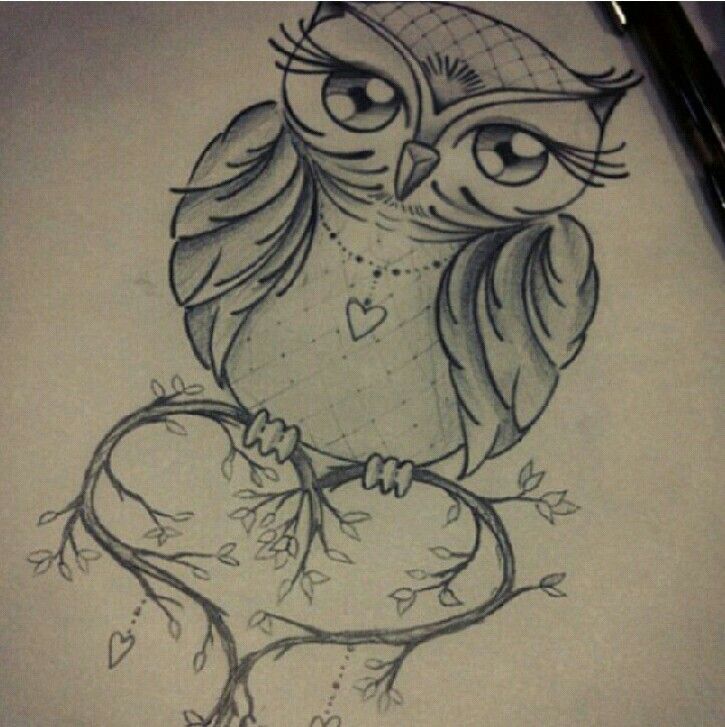 Cute Owl Sketch at PaintingValley.com | Explore collection of Cute Owl ...