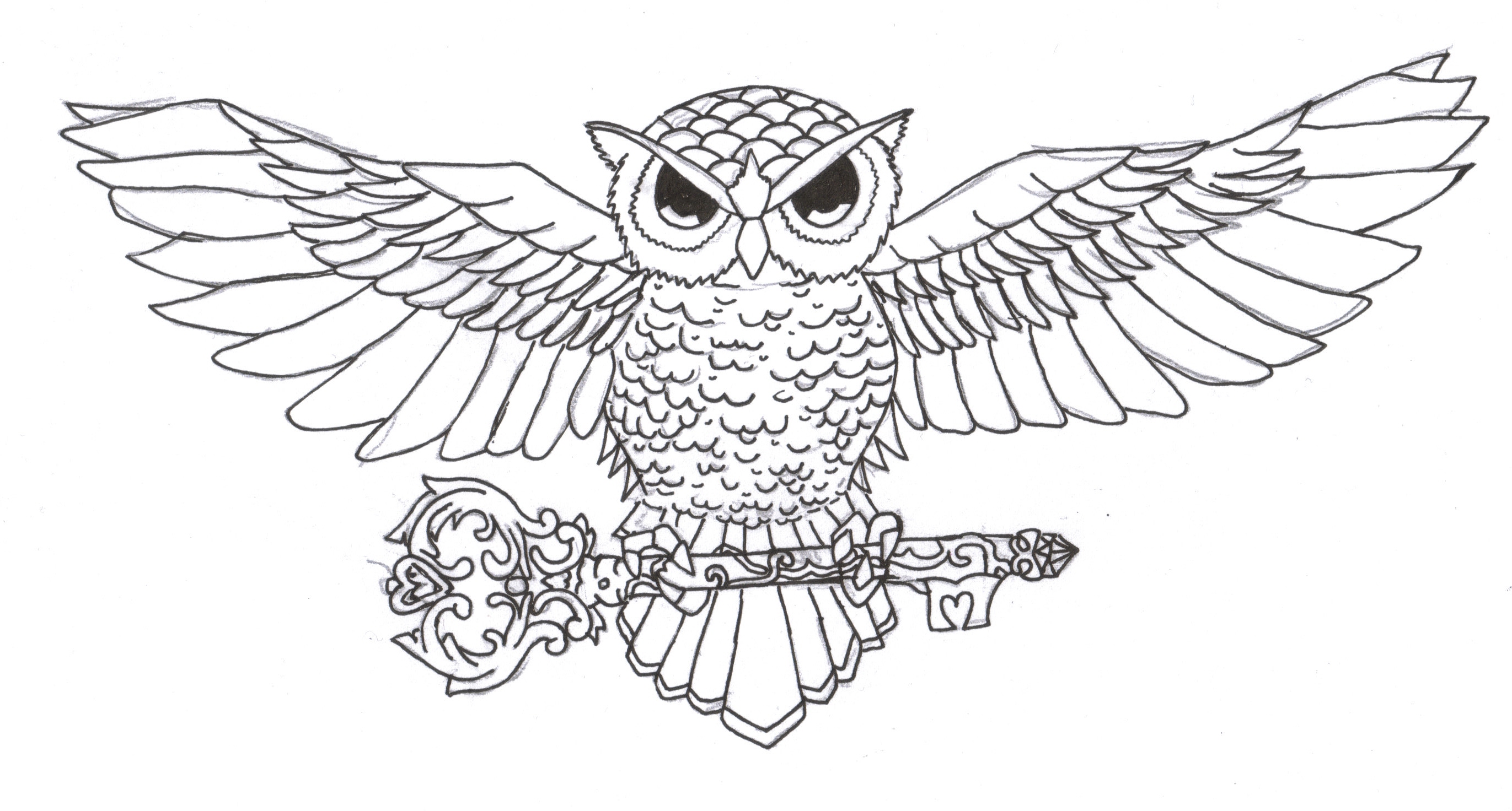2742x1472 Collection Of Cute Owl Tattoo Sample - Cute Owl Sketch