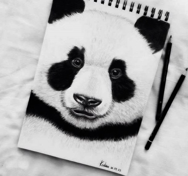 610x569 Cute Panda Bear Drawings - Cute Panda Sketch