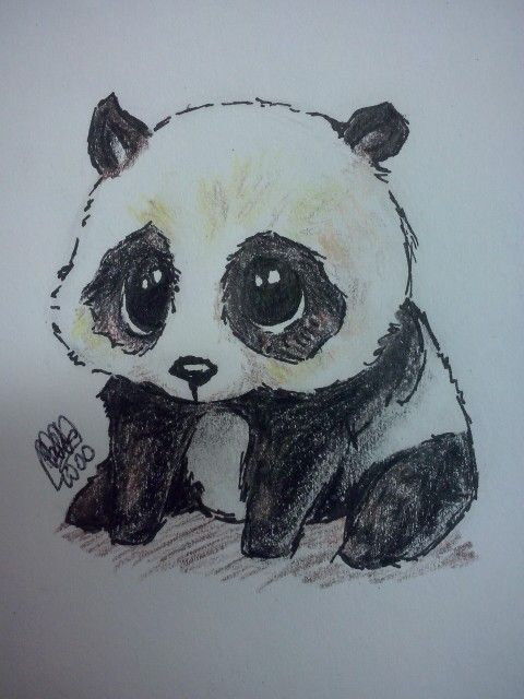 480x640 Cute Panda Drawing Tumblr - Cute Panda Sketch