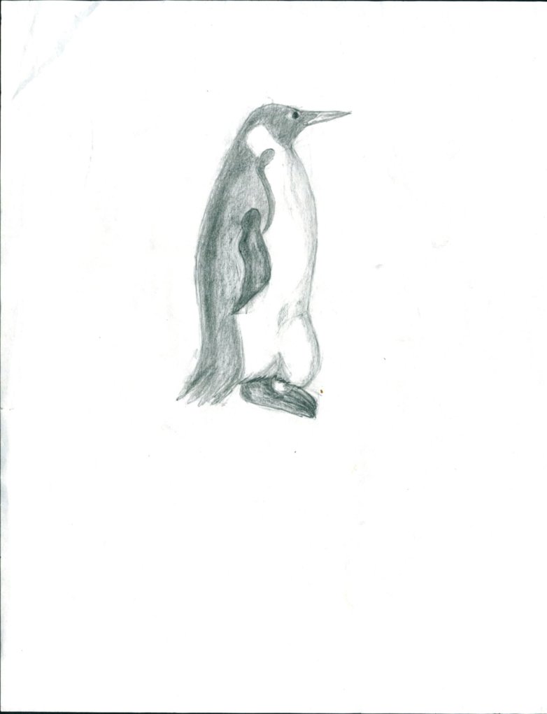 782x1022 Cute Penguin By Unbeatale - Cute Penguin Sketch