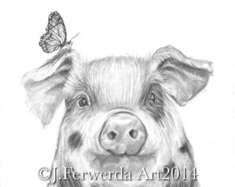 340x270 Pig With Wings Etsy - Cute Pig Sketch