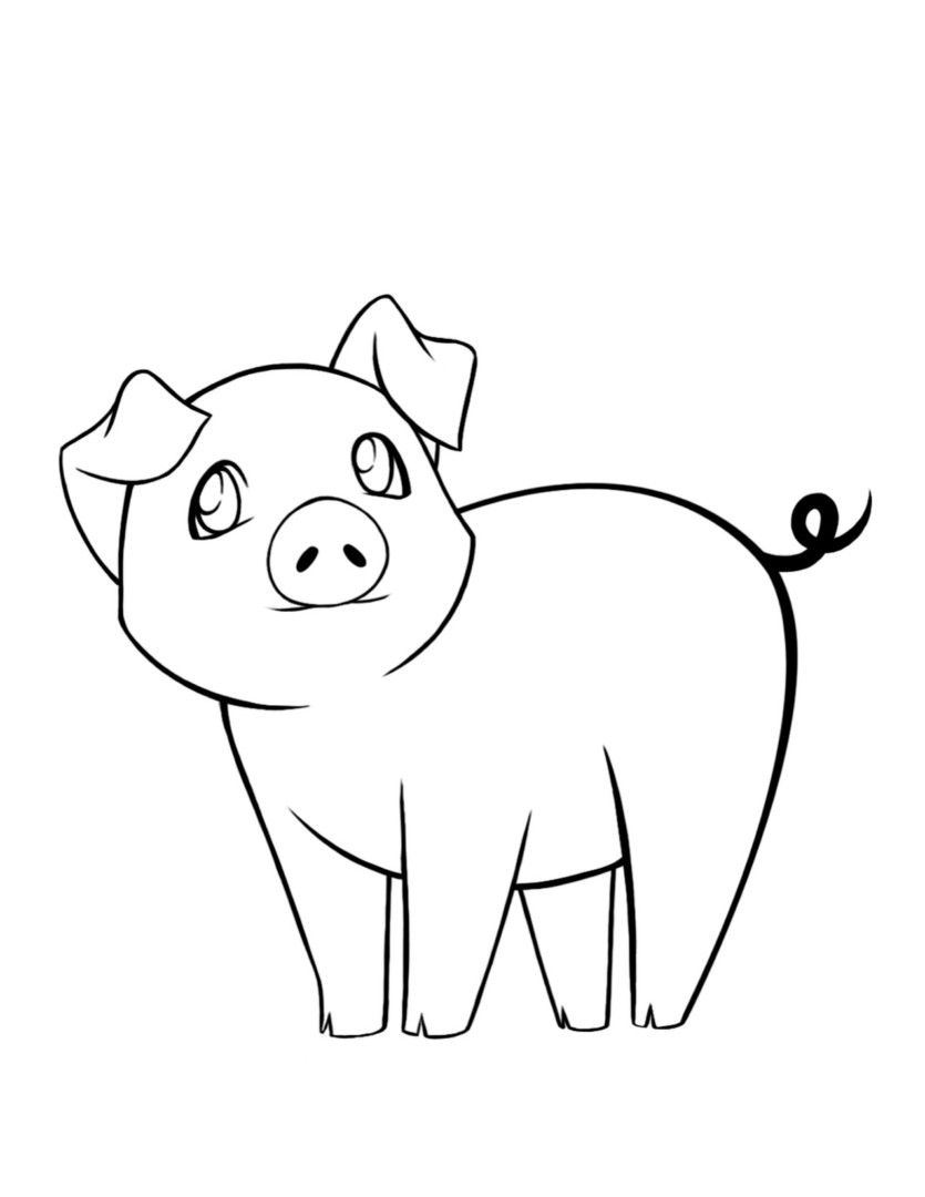 835x1080 Pin By Julia On Colorings Drawings, Pig Drawing And - Cute Pig Sketch