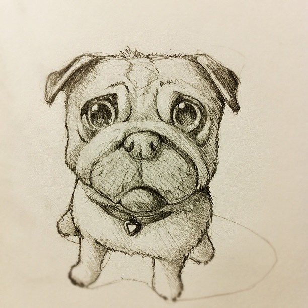 Cute Puppy Sketch at PaintingValley.com | Explore collection of Cute ...