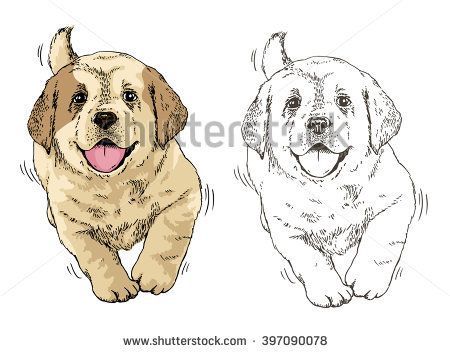 450x352 Vector Illustration. Hand Drawn Realistic Sketch Of Cute Puppy Dog - Cute Puppy Sketch
