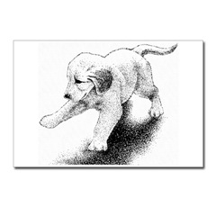 240x240 Rarpobell Cute Puppy Sketches - Cute Puppy Sketch