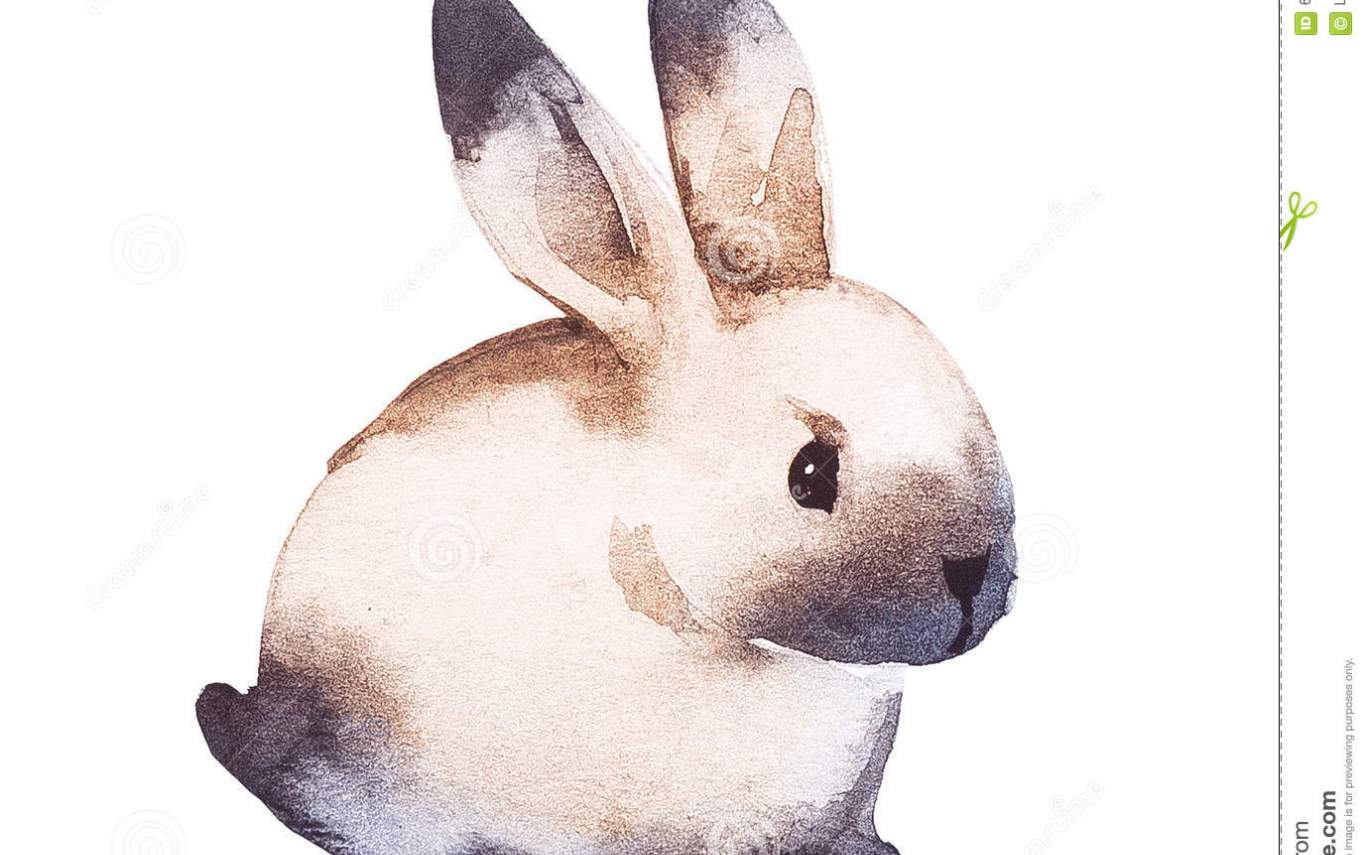 1368x855 Cute Rabbit Drawings Hot Trending Now - Cute Rabbit Sketch
