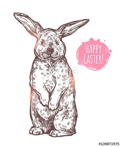 411x500 Hand Drawn Happy Easter Cute Rabbit. Sketch Greeting Monochrome - Cute Rabbit Sketch
