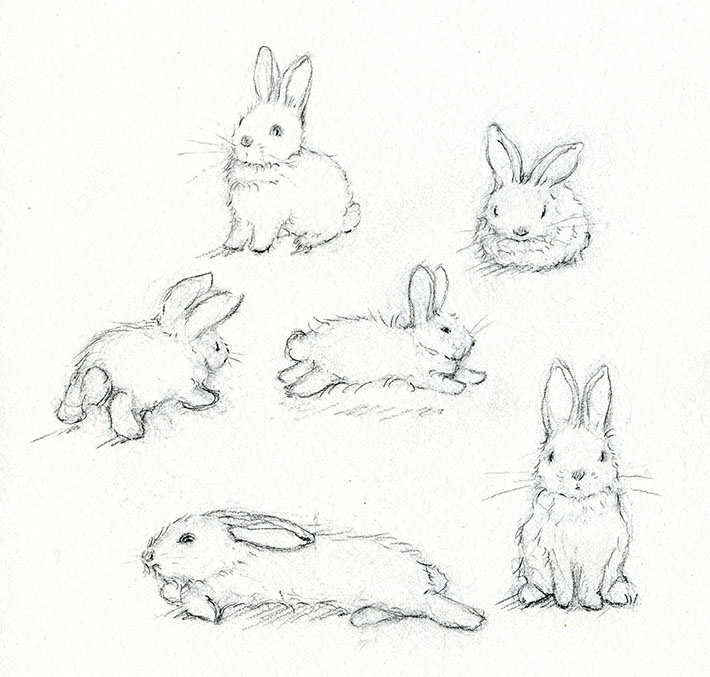 710x677 Learn How To Paint A Beautiful Bunny - Cute Rabbit Sketch