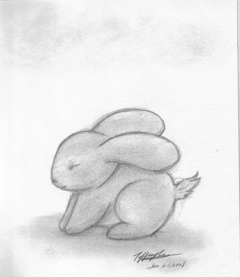 Cute Rabbit Sketch At Paintingvalley Com Explore Collection Of