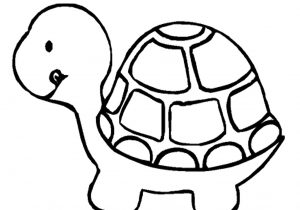 300x210 Cute Turtle Drawing - Cute Turtle Sketch