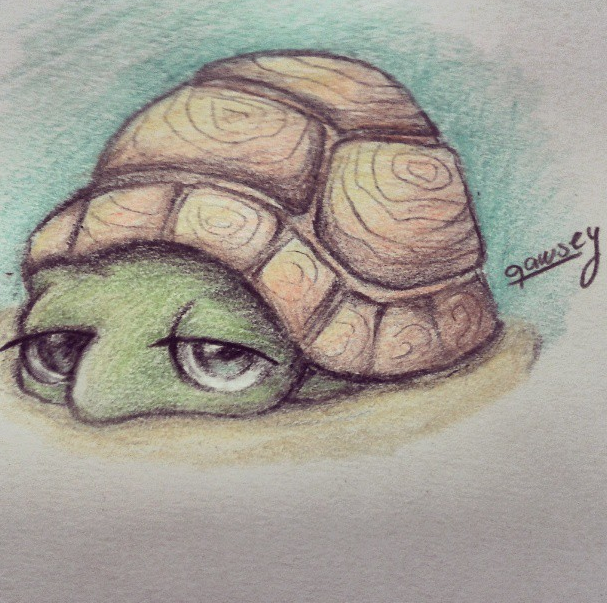 607x603 Cute Turtle Drawing By Qawsey Turtles Drawings - Cute Turtle Sketch