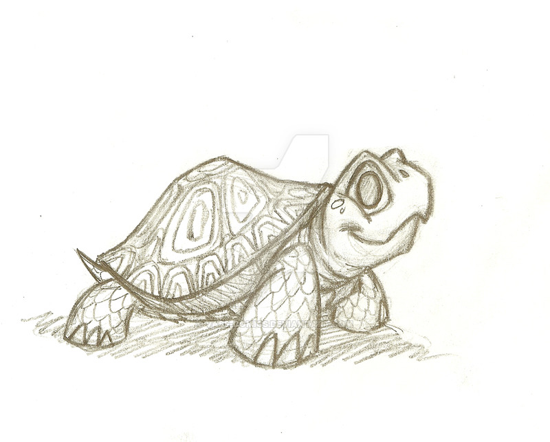 Cute Turtle Sketch at PaintingValley.com | Explore collection of Cute ...