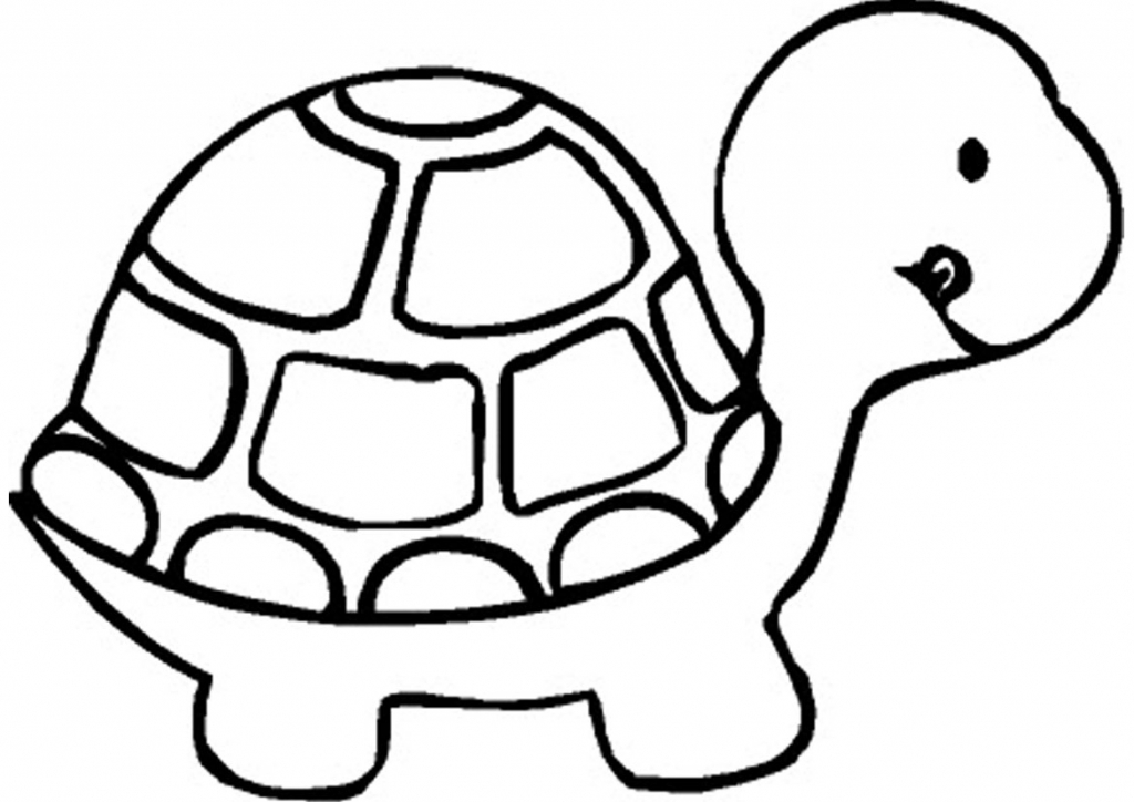 1024x724 Sketch Clipart Tortise - Cute Turtle Sketch