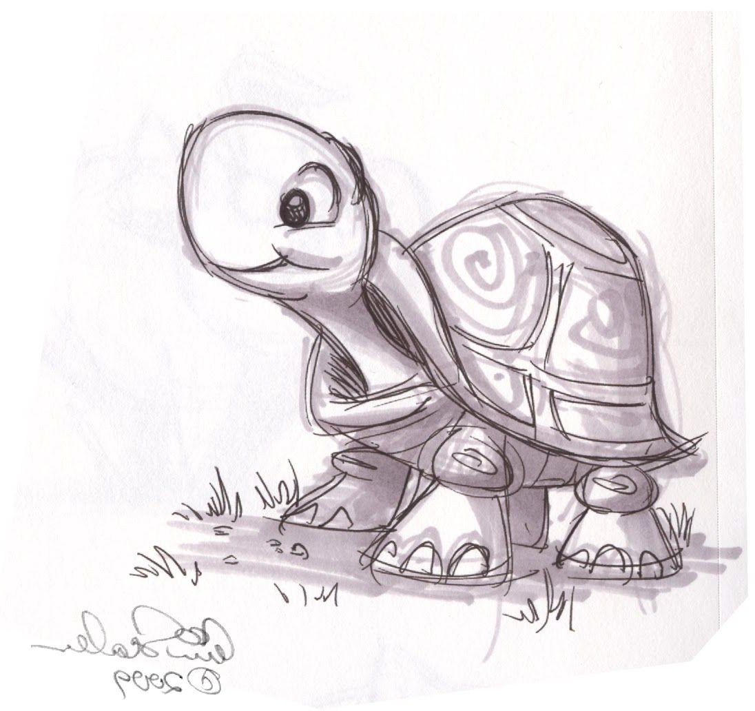 Cute Turtle Sketch At Paintingvalley.com 