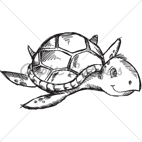 500x500 Cute Sketch Doodle Drawing Sea Turtle Vector Gl Stock Images - Cute Turtle Sketch