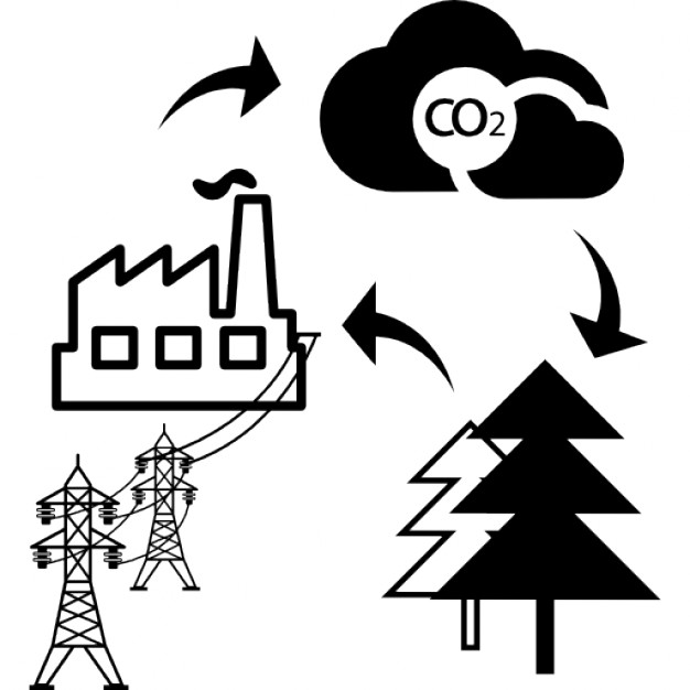 626x626 Cycle Sketch Of Bio Mass Into Energy Icons Free Download - Cycle Sketch