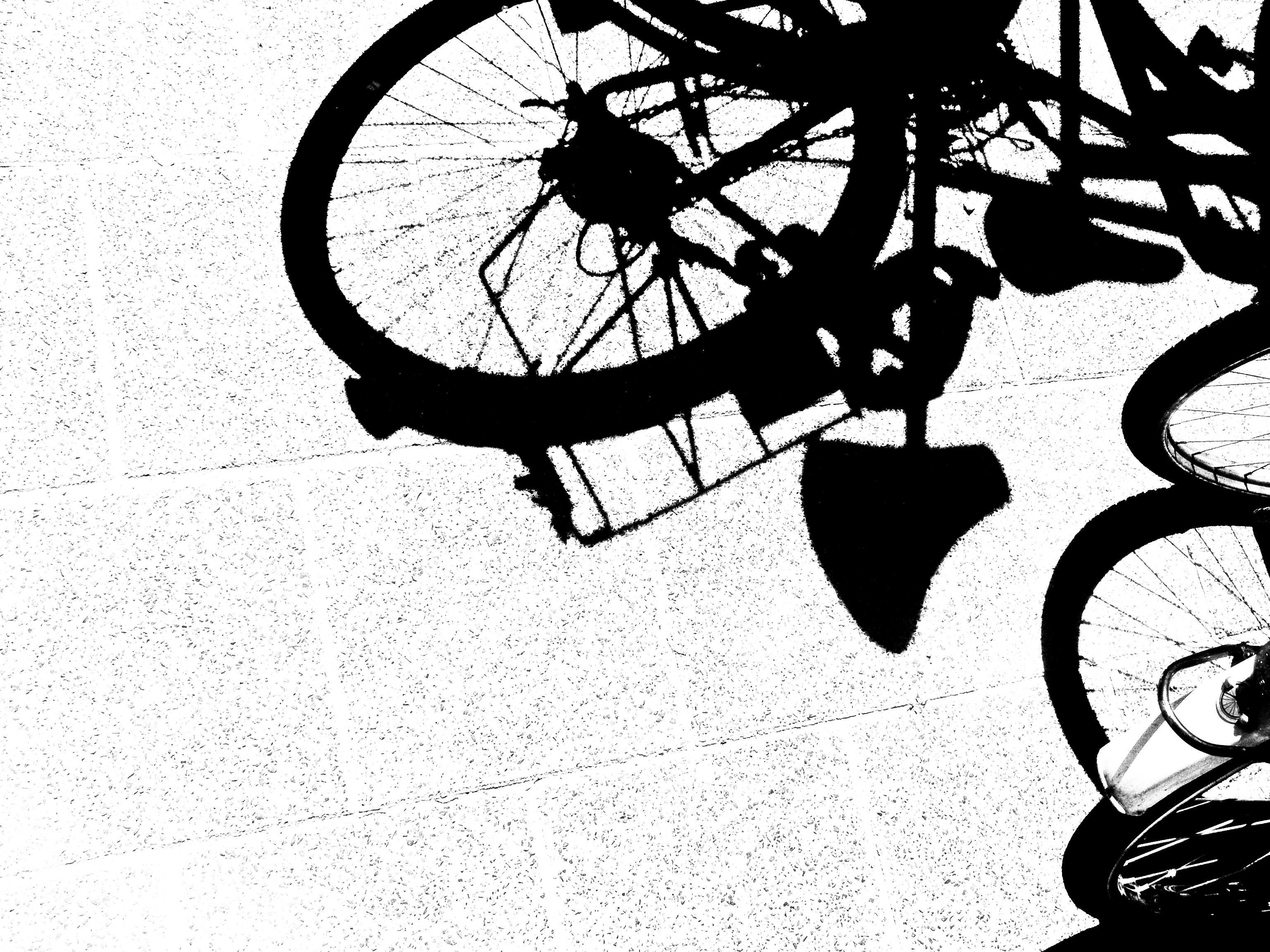 3072x2304 Free Images Outdoor, Silhouette, Black And White, Track, Sport - Cyclist Sketch