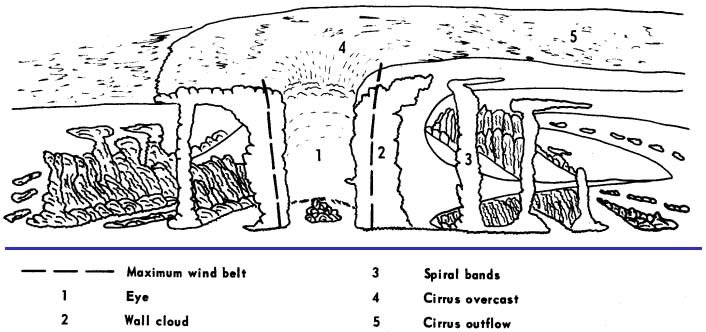 706x332 Tropical Cyclones - Cyclone Sketch